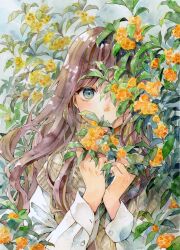Rule 34 | 1girl, blue eyes, brown hair, brown sweater vest, buttoned cuffs, commentary request, covered mouth, flower, gold osmanthus, hands up, highres, leaf, long hair, long sleeves, looking at viewer, one eye covered, orange flower, original, painting (medium), solo, sweater vest, traditional media, upper body, watercolor (medium), yuyuharu 1027