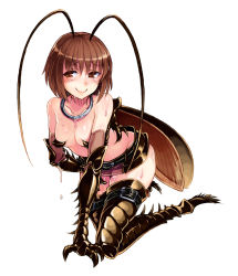 Rule 34 | 1girl, all fours, animal hands, antennae, arthropod girl, bare shoulders, black skirt, blush, breasts, brown eyes, brown hair, bug, carapace, claws, closed mouth, cockroach, cockroach girl, collar, devil bug, fewer digits, full body, gloves, insect, insect wings, jewelry, kenkou cross, kneeling, leg belt, looking at viewer, medium breasts, microskirt, monster girl, monster girl encyclopedia, necklace, official art, short hair, simple background, skirt, small breasts, smile, sweat, thigh strap, thighhighs, white background, wings
