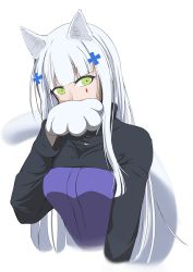 Rule 34 | 1girl, animal ears, animal hands, arm up, black jacket, breasts, cat ears, cat tail, commentary, covered mouth, cropped torso, eien (x0b3o6x7), girls&#039; frontline, gloves, green eyes, hair ornament, hairclip, hk416 (girls&#039; frontline), jacket, long hair, long sleeves, looking at viewer, medium breasts, paw gloves, solo, tail, teardrop facial mark, teardrop tattoo, upper body, white background, white hair