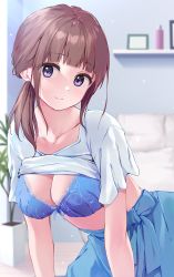 Rule 34 | 1girl, blue bra, blue skirt, blush, bow, bow bra, bra, breasts, brown hair, cleavage, closed mouth, clothes lift, collarbone, commentary request, couch, hair over shoulder, highres, indoors, lace, lace-trimmed bra, lace trim, looking at viewer, medium breasts, original, pasdar, plant, ponytail, potted plant, purple eyes, shelf, shirt, shirt lift, short sleeves, sidelocks, skirt, smile, solo, underwear, white shirt