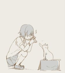 Rule 34 | 1girl, ^^^, animal, blush, box, bracelet, cat, collared shirt, commentary, from side, frown, holding, jewelry, kneehighs, loafers, looking at animal, miniskirt, monochrome, notice lines, original, paw up, pleated skirt, school uniform, shirt, shoes, short hair, short sleeves, skirt, socks, solo, squatting, sweatdrop, taneda yuuta