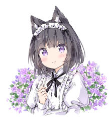 Rule 34 | 1girl, animal ear fluff, animal ears, black bow, black hair, blush, bow, braid, cat ears, closed mouth, commentary request, cropped torso, flower, hand up, juliet sleeves, long sleeves, looking at viewer, maid headdress, original, puffy sleeves, purple eyes, purple flower, shirt, smile, solo, upper body, wataame27, white background, white shirt