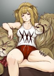 Rule 34 | 1girl, animal ears, arknights, blonde hair, breasts, candy, claws, covered erect nipples, finalcake, food, grey background, large breasts, lion, lion ears, lollipop, long hair, scar, scar on face, siege (arknights), solo, thighs