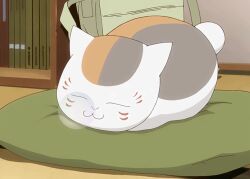 Rule 34 | animated, animated gif, anime screenshot, indoors, lowres, madara (natsume yuujinchou), natsume yuujinchou, nose bubble, screencap, sleeping, solo