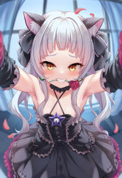 Rule 34 | 1girl, animal ear fluff, animal ears, armpits, bare shoulders, black dress, black ribbon, blunt bangs, blush, breasts, cat ears, covered mouth, detached sleeves, dress, earrings, flower, gothic lolita, grin, hair ribbon, halterneck, highres, hololive, jewelry, lolita fashion, long hair, looking at viewer, milkshakework, murasaki shion, murasaki shion (gothic lolita), outstretched arms, ribbon, rose, small breasts, smile, solo, twintails, virtual youtuber, yellow eyes