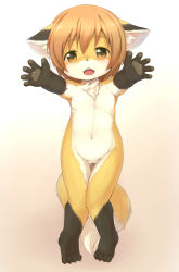 Rule 34 | 1girl, animal ears, animal hands, barefoot, fang, feet, female focus, fox ears, fox tail, full body, furry, furry female, gradient background, kagerofu, looking at viewer, moe (phrase), nude, pawpads, pov, solo, tail, toes, yellow eyes