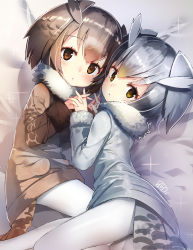 Rule 34 | 10s, 2girls, :o, absurdres, bed sheet, bird tail, blonde hair, blush, brown coat, brown eyes, brown hair, coat, eurasian eagle owl (kemono friends), from above, fur-trimmed sleeves, fur collar, fur trim, gradient hair, grey coat, highres, holding hands, interlocked fingers, kemono friends, long sleeves, looking at viewer, looking up, lying, multicolored hair, multiple girls, northern white-faced owl (kemono friends), on bed, on side, pantyhose, parted lips, short hair, signature, silver hair, sparkle, tail, tareme, white legwear, winter clothes, winter coat, yamacchi, yellow eyes