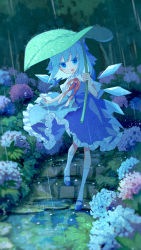 Rule 34 | 1girl, :o, absurdres, blue bow, blue dress, blue eyes, blue flower, blue footwear, blue hair, bow, chinese commentary, cirno, collared shirt, commentary request, dress, flower, frilled dress, frills, full body, hair bow, highres, holding, holding leaf, hydrangea, ice, ice wings, jiege, leaf, leaf umbrella, looking at viewer, mary janes, medium hair, neck ribbon, open mouth, pink flower, puffy short sleeves, puffy sleeves, rain, red ribbon, ribbon, ripples, shirt, shoes, short sleeves, socks, solo, stairs, teeth, touhou, upper teeth only, water, water drop, white shirt, white socks, wings