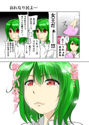 Rule 34 | 1girl, comic, crying, crying with eyes open, face, female focus, green hair, handkerchief, kazami yuuka, lips, lonely, mattari yufi, red eyes, short hair, smile, solo, tears, touhou, translation request