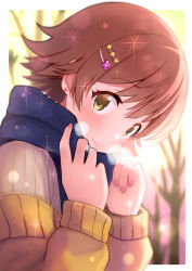 Rule 34 | 1girl, absurdres, blurry, blurry background, blush, bokeh, breath, brown hair, depth of field, head tilt, highres, honda mio, idolmaster, idolmaster cinderella girls, looking at viewer, outdoors, ribbed sweater, scarf, shiro (branch0126), short hair, solo, sparkle, sweater, upper body