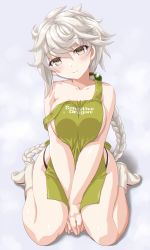 Rule 34 | 1girl, apron, asymmetrical hair, between legs, blush, braid, braided ponytail, breasts, closed mouth, clothes writing, collarbone, dd (ijigendd), green apron, hand between legs, head tilt, highres, kantai collection, large breasts, long hair, single braid, sitting, solo, unryuu (kancolle), very long hair, wariza, white hair, yellow eyes