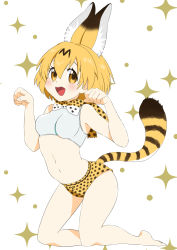 Rule 34 | 10s, 1girl, :d, adapted costume, animal ears, bare arms, bare legs, bare shoulders, barefoot, bikini, blonde hair, bow, bowtie, breasts, eyebrows, eyelashes, facing away, fingernails, full body, hair between eyes, hands up, highres, kemono friends, kneeling, looking at viewer, medium breasts, multicolored bow, multicolored neckwear, navel, nonono (1399900), open mouth, paw pose, serval (kemono friends), serval print, serval tail, short hair, smile, solo, sparkle, stomach, striped tail, swimsuit, tail, tail raised, tareme, teeth, tongue, white background, white bow, white bowtie, yellow background, yellow bow, yellow bowtie, yellow eyes