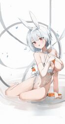 Rule 34 | 1girl, absurdres, animal ears, awilin, azur lane, bare shoulders, breasts, carrot, cleavage, collarbone, covered navel, elbow gloves, fake animal ears, fake tail, frilled leotard, frills, gloves, highres, large breasts, leotard, light blush, looking at viewer, official alternate costume, playboy bunny, rabbit ears, rabbit tail, red eyes, see-through, see-through leotard, short hair, sirius (azur lane), sirius (rabbit of paradise) (azur lane), sketch, solo, tail, tongue, tongue out, white gloves, white hair, white leotard