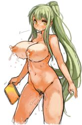 Rule 34 | 1girl, blush, breasts, censored, female focus, female pubic hair, green hair, groin, holding, lactation, large breasts, long hair, looking at viewer, navel, nipples, notebook, nude, original, perky breasts, ponytail, pubic hair, pussy juice, sachito, simple background, solo, sumi-chan (sachito), sweat, very long hair, white background, yellow eyes