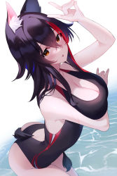 Rule 34 | alternate costume, animal ear fluff, animal ears, arm under breasts, black hair, black one-piece swimsuit, blush, breast hold, breasts, butt crack, cleavage, commentary, competition swimsuit, cowboy shot, double fox shadow puppet, fox shadow puppet, from above, hair between eyes, hand gesture, highres, hololive, kaneko (bblogtinhan), large breasts, long hair, looking at viewer, multicolored hair, one-piece swimsuit, ookami mio, open mouth, orange eyes, red hair, shadow puppet, solo, streaked hair, swimsuit, symbol-only commentary, tail, two-tone hair, virtual youtuber, wading, water, wet, wolf ears, wolf girl, wolf tail
