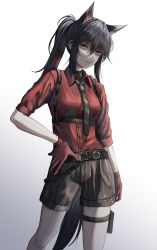 Rule 34 | 1girl, absurdres, animal ears, arknights, arm at side, belt, belt buckle, black hair, black undershirt, breasts, brown belt, brown necktie, brown shorts, buckle, collared shirt, commentary, contrapposto, dress shirt, eyebrows hidden by hair, frown, gloves, grey background, hand on own hip, head tilt, highres, kuro beyan, leather strap, long bangs, long hair, looking at viewer, medium breasts, necktie, official alternate costume, orange eyes, pale skin, pinstripe shorts, ponytail, pouch, red gloves, red shirt, red sleeves, serious, shirt, short shorts, shorts, sidelocks, simple background, sleeves rolled up, solo, standing, staring, tail, texas (arknights), texas (willpower) (arknights), thigh pouch, underbust, white background, wing collar, wolf ears, wolf girl, wolf tail