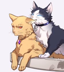 Rule 34 | animal, animal ear fluff, animal focus, animalization, biting, cat, closed mouth, collar, commentary request, ear biting, ears down, closed eyes, fate/grand order, fate (series), frown, fujimaru ritsuka (male), gem, gilgamesh, gilgamesh (caster) (fate), gilgamesh (fate), glowing, half-closed eyes, highres, jewelry, lying, male focus, necklace, no humans, on stomach, red eyes, tenobe, whiskers