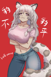 Rule 34 | 1girl, absurdres, alternate costume, animal ear fluff, animal ears, arknights, blue pants, braid, breasts, collarbone, commentary request, cowboy shot, crop top, crossed arms, denim, grey eyes, highres, jeans, large breasts, leopard ears, leopard tail, long hair, lybe, midriff, navel, pants, pink shirt, pramanix (arknights), red background, shirt, short sleeves, silver hair, simple background, smile, solo, standing, stomach, tail, thighs, translation request, twin braids