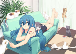 Rule 34 | 1girl, ahoge, alternate hairstyle, barefoot, blue eyes, blue hair, blue nails, casual, cat, chan co, couch, feet, food, full body, hair down, hatsune miku, long hair, looking at viewer, lying, matching hair/eyes, nail polish, on stomach, pocky, skirt, solo, too many, too many cats, vocaloid