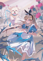 Rule 34 | 1girl, alice (alice in wonderland), alice in wonderland, blonde hair, blue dress, blue eyes, bow, branch, commentary, dog, dress, english commentary, flower, grass, hairband, heterochromia, highres, holding, holding branch, holding stick, mini person, minigirl, outdoors, puffy short sleeves, puffy sleeves, puppy, redrawn, running, short sleeves, socks, solo, stick, thorns, wakuseiy, white socks, wrist cuffs