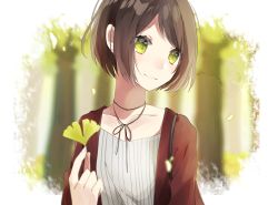 Rule 34 | 1girl, brown hair, cardigan, closed mouth, collarbone, ginkgo tree, green eyes, hachimitsu honey, highres, holding, holding leaf, leaf, open cardigan, open clothes, original, short hair, sidelocks, smile, solo, upper body