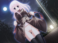Rule 34 | 1girl, bad id, bad pixiv id, blonde hair, bottomless, censored, coat, exhibitionism, full moon, kine-c, moon, mosaic censoring, night, no panties, original, park, public indecency, purple eyes, pussy, scarf, solo, thighhighs, tree
