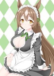 Rule 34 | 1girl, alternate costume, animal ears, apron, argyle, argyle background, argyle clothes, black dress, blush, braid, breasts, brown hair, cleavage, collared dress, commentary request, dress, enmaided, french braid, frilled dress, frills, green background, green ribbon, gurukorian, hair between eyes, hair through headwear, highres, horse ears, horse girl, horse tail, juliet sleeves, large breasts, long sleeves, looking at viewer, maid, maid apron, multicolored hair, partially unbuttoned, puffy sleeves, ribbon, satono diamond (umamusume), simple background, sitting, smile, solo, streaked hair, tail, two-tone background, umamusume, white background, white hair, yellow eyes