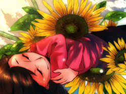 Rule 34 | 1girl, braid, brown hair, closed eyes, flower, lying, madotsuki, pink shirt, sakurami (mi0ra8nge17), self hug, shirt, solo, sunflower, turtleneck, yume nikki
