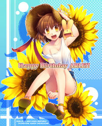 Rule 34 | 00s, 1girl, 490, 2008, alternate costume, arle nadja, birthday, blue background, brown eyes, brown hair, carbuncle (puyopuyo), character name, copyright name, dated, english text, flower, happy birthday, legs, madou monogatari, puyopuyo, sandals, sitting, smile, solo, sunflower