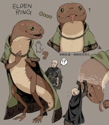 Rule 34 | 1boy, 1girl, ?, bald, black cape, cape, chinese text, cloak, closed eyes, closed mouth, dark skin, elden ring, forked tongue, green cloak, green eyes, highres, kamezaemon, open mouth, own hands together, patches (from software), rya (elden ring), scales, sharp teeth, shedding, shedding skin, snake, surprised, sweatdrop, teeth, tongue, tongue out, wide-eyed