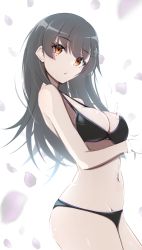 Rule 34 | 1girl, absurdres, black hair, breasts, brown eyes, cleavage, commentary request, contrapposto, cowboy shot, hayashio (kancolle), highres, honma (honmatomohiro), kantai collection, long hair, looking at viewer, medium breasts, navel, petals, solo, standing, underwear, underwear only