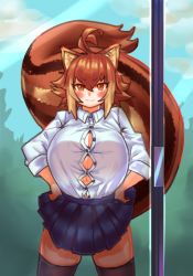 Rule 34 | 1girl, :3, against glass, alternate breast size, animal ears, antenna hair, black thighhighs, blazblue, blush, breast press, breasts, breasts on glass, brown hair, bursting breasts, cleavage, collared shirt, cowboy shot, day, hands on own hips, huge breasts, large tail, looking at viewer, makoto nanaya, no bra, orange eyes, pincerpencil, screen door, shirt, skirt, sleeves rolled up, smile, solo, squirrel ears, squirrel tail, standing, tail, taut clothes, taut shirt, thighhighs