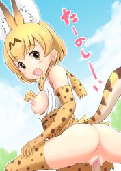 Rule 34 | 10s, 1girl, :d, animal ears, animal print, anus, ass, bare shoulders, blonde hair, blue sky, blush, breasts, breasts out, cat ears, cat tail, censored, cloud, day, elbow gloves, eyebrows, gloves, happy, happy sex, hetero, highres, kemono friends, leopard print, looking at viewer, looking back, mosaic censoring, nipples, no panties, open mouth, penis, pov, pussy, qm, serval (kemono friends), sex, short hair, sky, smile, solo focus, tail, text focus, thighhighs, translated, vaginal, yellow eyes, yellow gloves, yellow thighhighs