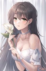 Rule 34 | 1girl, absurdres, armlet, backless dress, backless outfit, bare shoulders, blush, breasts, bridal gauntlets, brown hair, choker, curtains, dress, flower, green eyes, hair between eyes, highres, holding, holding flower, large breasts, light smile, long hair, looking at viewer, original, parted lips, pippin (pippin sol), simple background, sleeveless, sleeveless dress, solo, standing, upper body, very long hair, wedding dress, white bridal gauntlets, white choker, white dress, white flower