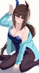 Rule 34 | 1girl, absurdres, admire vega (umamusume), alternate costume, animal ears, arm up, bare shoulders, black pantyhose, blue jacket, blue leotard, blush, bow, breasts, brown eyes, brown hair, cleavage, closed mouth, collarbone, commentary request, ear covers, fuji noriho, hair bow, highres, horse ears, horse girl, horse tail, jacket, jacket partially removed, leotard, long hair, long sleeves, looking at viewer, medium breasts, nontraditional playboy bunny, on ground, pantyhose, ponytail, simple background, single ear cover, sitting, solo, strapless, strapless leotard, tail, umamusume, wariza, white background, white bow