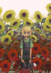 Rule 34 | 1boy, basil (faraway) (omori), basil (omori), blonde hair, blue eyes, blue overalls, closed mouth, expressionless, flower, green shirt, hair flower, hair ornament, highres, holding, holding flower, looking at viewer, moashizka, omori, overall shorts, overalls, shirt, short hair, short sleeves, solo, sunflower