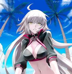 Rule 34 | 1girl, ahoge, bikini, bikini top only, black bikini, black jacket, breasts, choker, cleavage, cloud, cloudy sky, coconut tree, collarbone, commentary request, day, fate/grand order, fate (series), jacket, jeanne d&#039;arc alter (swimsuit berserker) (fate), jeanne d&#039;arc (fate), jeanne d&#039;arc alter (fate), jeanne d&#039;arc alter (swimsuit berserker) (fate), large breasts, long hair, looking at viewer, navel, o-ring, palm tree, shirotsumekusa, shrug (clothing), silver hair, sky, solo, swimsuit, tree, very long hair, yellow eyes