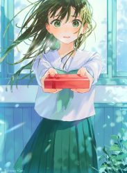 Rule 34 | 1girl, absurdres, blue neckerchief, blush, brown hair, day, gift, green eyes, highres, holding, holding gift, leaf, long hair, looking at viewer, neckerchief, open mouth, original, outstretched arms, reflection, school uniform, serafuku, shadow, shirane rine, signature, skirt, solo, standing