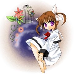 Rule 34 | 00s, 1girl, cage, flower, lyrical nanoha, mahou shoujo lyrical nanoha, solo, takamachi nanoha