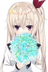 Rule 34 | 1girl, akizuki kanna, aria (koiiroharemoyou), blue flower, blush, bouquet, cafe stella to shinigami no chou, commentary request, flower, furrowed brow, hair between eyes, hair ribbon, hands up, holding, holding bouquet, jacket, long hair, long sleeves, looking at viewer, red eyes, red ribbon, ribbon, side ponytail, sidelocks, solo, upper body, very long hair, white hair, white jacket