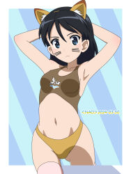 Rule 34 | 1girl, animal ears, armpits, arms behind head, black hair, blue background, blue eyes, blush, breasts, chi-hatan military uniform, closed mouth, dated, drawn whiskers, fake animal ears, fox ears, girls und panzer, highres, kubota rin, long hair, looking at viewer, naotosi, navel, pink thighhighs, signature, simple background, small breasts, solo, swimsuit, thighhighs