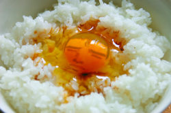 Rule 34 | abe takakazu, cameo, egg yolk, food, food focus, highres, kuso miso technique, matsuyamakeichin, photo (medium), rice, yaranaika