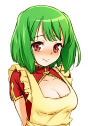 Rule 34 | 1girl, apron, blush, breasts, center opening, cleavage, closed mouth, green hair, laco soregashi, long hair, looking at viewer, macross, macross frontier, medium breasts, ranka lee, red eyes, simple background, smile, solo, white background