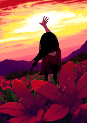 Rule 34 | black hair, field, flower, long hair, original, outstretched arm, outstretched hand, reaching, sky, solo, sunset, yukihiko