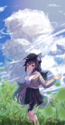 Rule 34 | 1girl, absurdres, animal ear fluff, animal ears, black hair, breasts, closed mouth, cloud, grass, hair between eyes, hair ornament, hairclip, hat, highres, hololive, hololive gamers, leaf, long hair, meadow, medium breasts, mihaeru, multicolored hair, ookami mio, ookami mio (street), open mouth, ponytail, red hair, sky, smile, solo, streaked hair, tail, virtual youtuber, wolf ears, wolf girl, wolf tail, yellow eyes