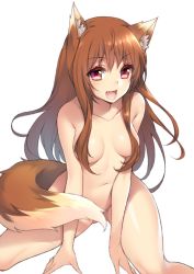 Rule 34 | 1girl, animal ears, brown hair, colored eyelashes, convenient censoring, fang, fuya (tempupupu), hair censor, hair over breasts, happy, holo, long hair, nude, open mouth, red eyes, shiny skin, simple background, solo, spice and wolf, spread legs, tail, tail censor, white background, wolf ears, wolf tail