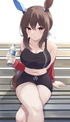 Rule 34 | 1girl, absurdres, admire vega (umamusume), animal ears, bare shoulders, bench, black shorts, blush, bottle, breasts, brown eyes, brown hair, cleavage, closed mouth, crossed legs, feet out of frame, highres, holding, holding bottle, horse ears, horse girl, horse tail, jacket, long hair, looking at viewer, medium breasts, midriff, navel, off shoulder, red jacket, shorts, sitting, solo, tail, tank top, umamusume, water bottle, zeatto