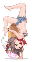 Rule 34 | 1girl, :d, absurdres, animal ear fluff, animal ears, barefoot, batazungharn, bikini, bikini under clothes, blue archive, blue bikini, blue shorts, breasts, brown hair, denim, denim shorts, extra ears, fang, flower, fox ears, fox girl, fox tail, full body, hair flower, hair ornament, halo, handstand, highleg, highleg bikini, highres, izuna (blue archive), izuna (swimsuit) (blue archive), micro shorts, navel, official alternate costume, one arm handstand, open fly, open mouth, pink halo, red scarf, scarf, short hair, shorts, simple background, small breasts, smile, solo, striped bikini, striped clothes, swimsuit, tail, toes, upside-down, white background, yellow eyes