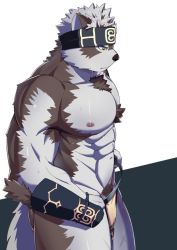 Rule 34 | 1boy, abs, ainu clothes, animal ears, bara, bulge, chest hair, feet out of frame, from side, furry, furry male, grey fur, grey hair, headband, horkeu kamui, kawara gawara, large pectorals, male focus, male pubic hair, multicolored hair, muscular, muscular male, navel, nipples, pectorals, pelvic curtain, pubic hair, short hair, solo, stomach, tail, thick thighs, thighs, tokyo houkago summoners, topless male, two-tone fur, two-tone hair, vambraces, wolf boy, wolf ears, wolf tail, yellow eyes