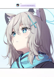 Rule 34 | 1girl, animal ear fluff, animal ears, black jacket, blue archive, blue eyes, blue scarf, deadnooodles, grey hair, hair between eyes, hair ornament, halo, highres, jacket, korean text, looking away, parted lips, scarf, shiroko (blue archive), solo, translation request, upper body